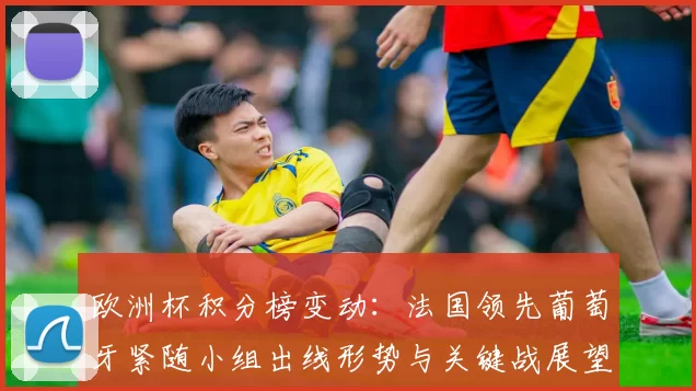 欧洲杯积分榜变动：法国领先葡萄牙紧随小组出线形势与关键战展望