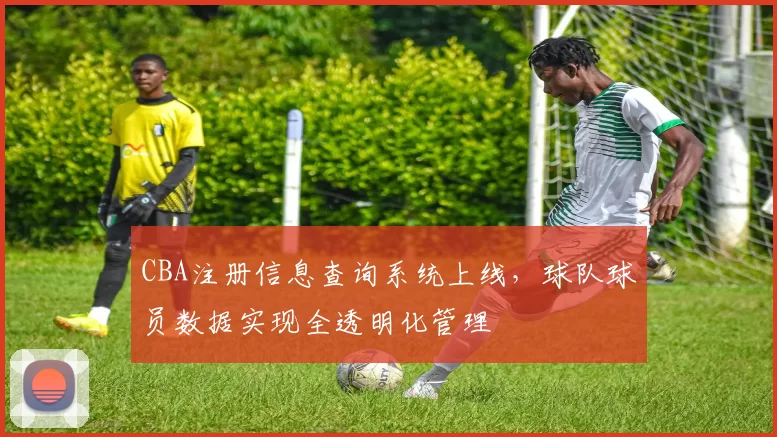 CBA注册信息查询系统上线,球队球员数据实现全透明化管理